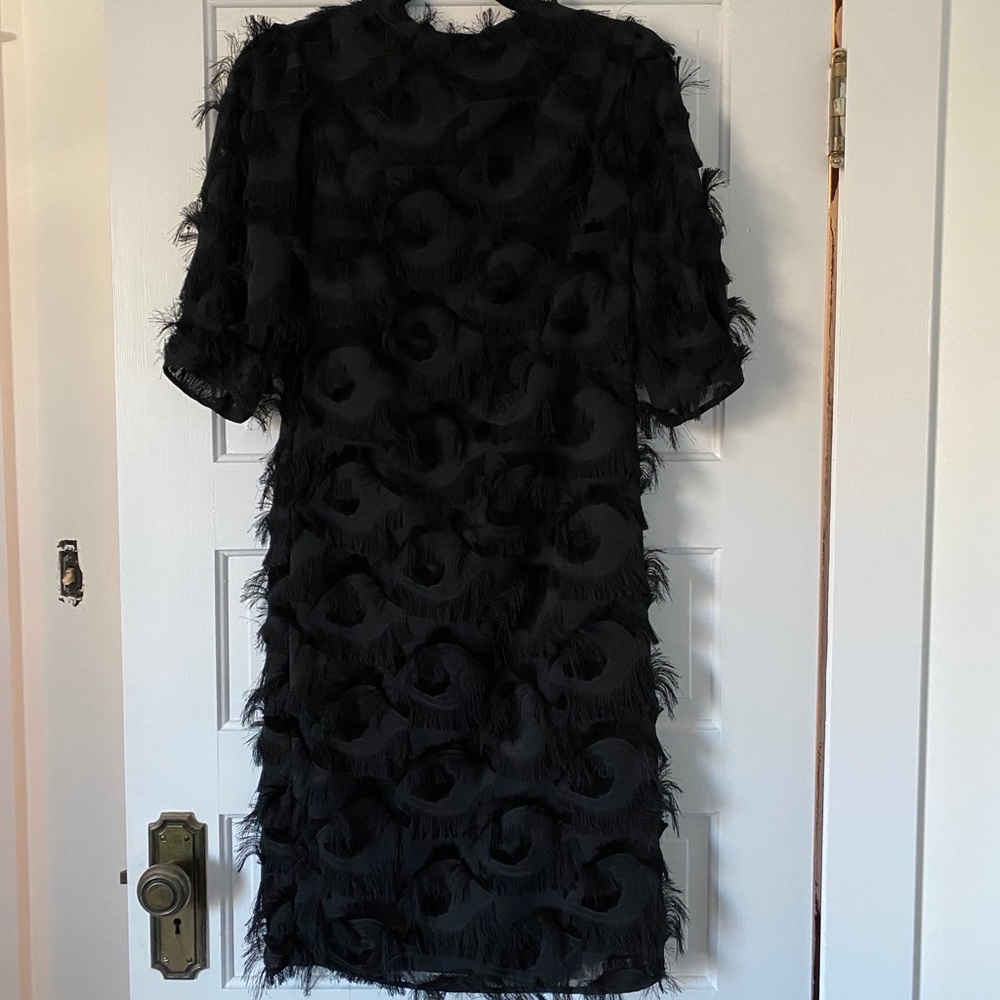 Gorgeous Fringe Dress